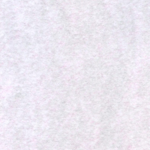 [ギャンブラークラブ(高坂潤)]女の子が大好き！ （パワパフガールズZ） - ページ 2